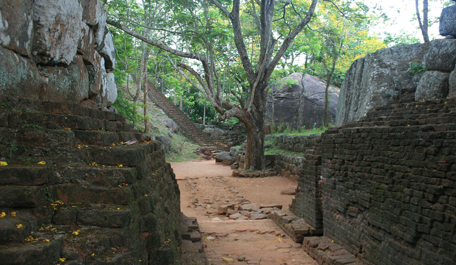 Transfer-Tour West-Ostküste (Passikudah) mit Übernachtung & Besichtigung Sigiriya
