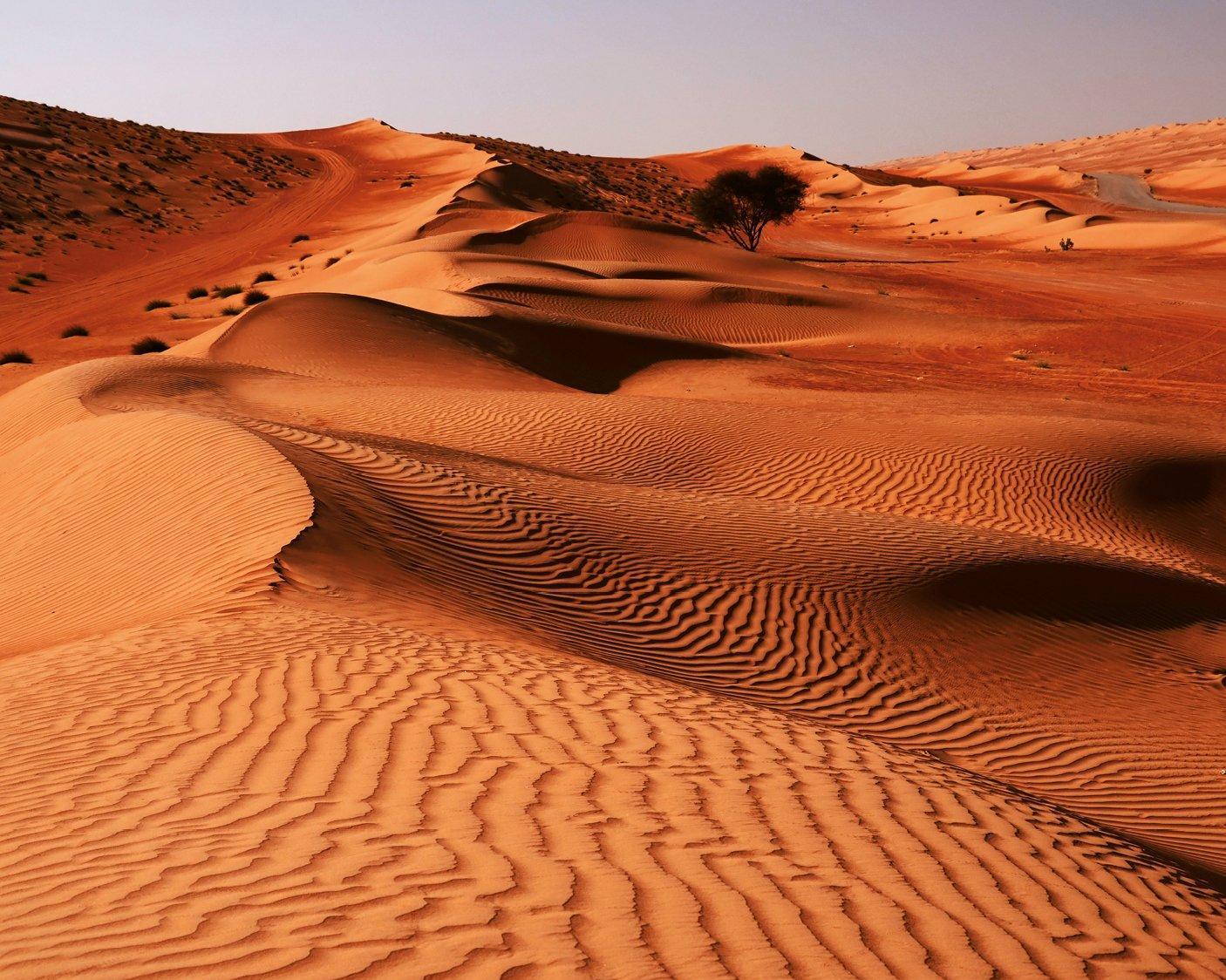 Il Fascino del Deserto
