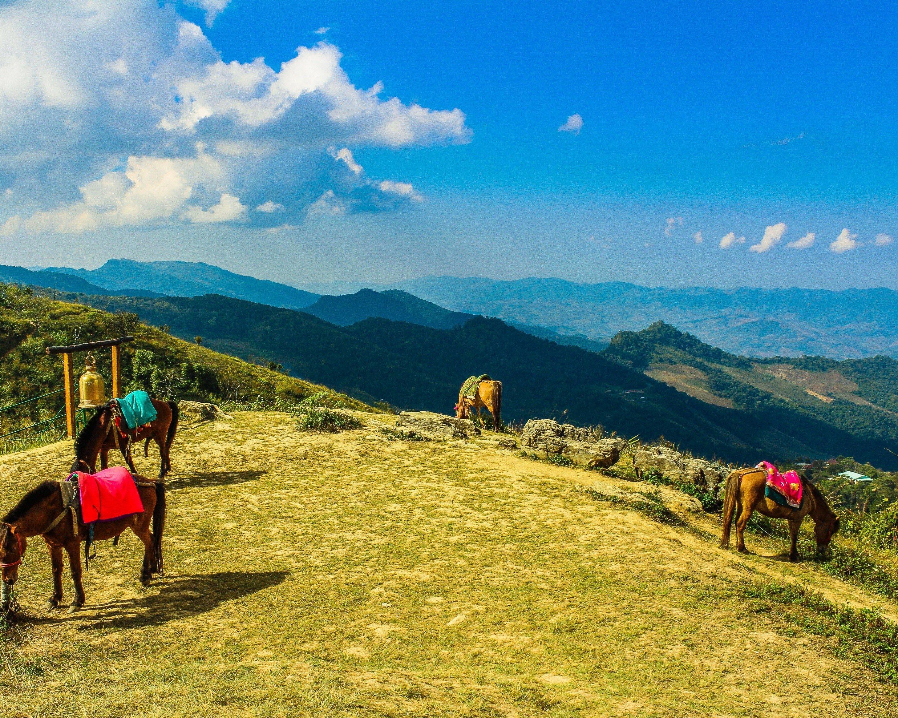 Doi Inthanon National Park (Private)