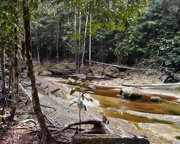 Amazon Ecopark Lodge Rundreise