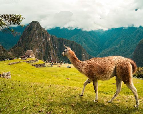Machu Picchu - Privater Ganztagesausflug