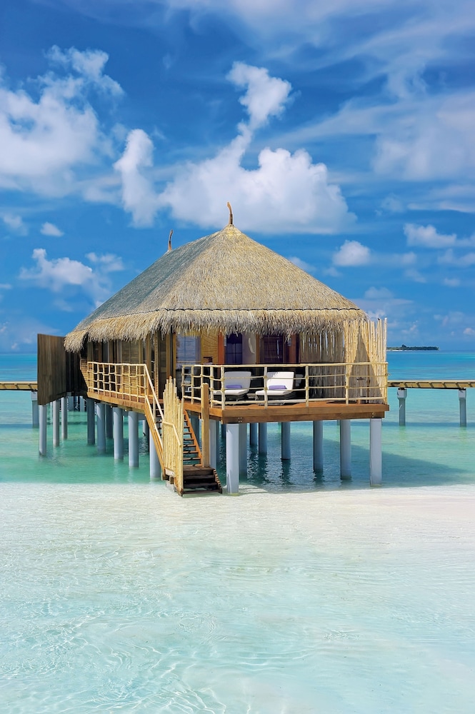 Constance Moofushi - GATTINONI