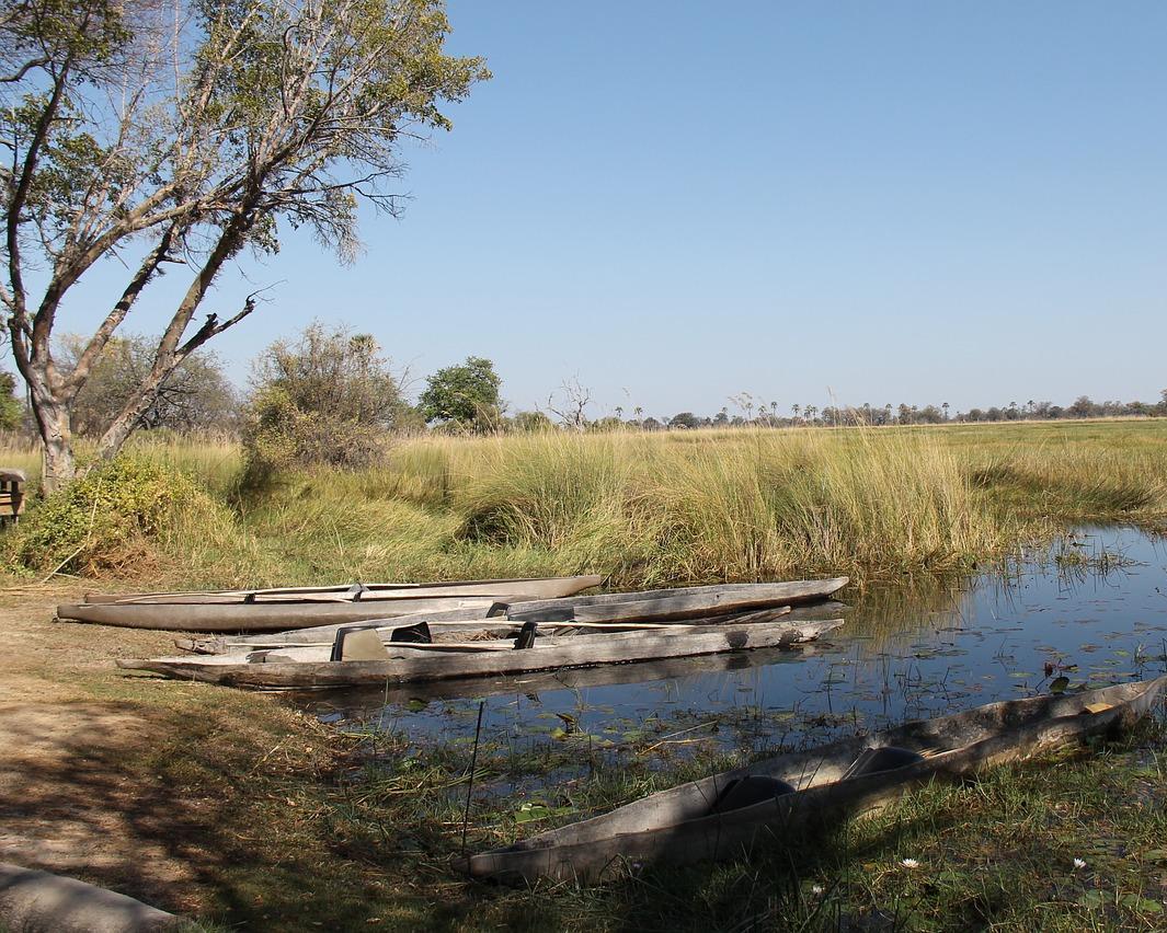Okavango Delta, Botswana