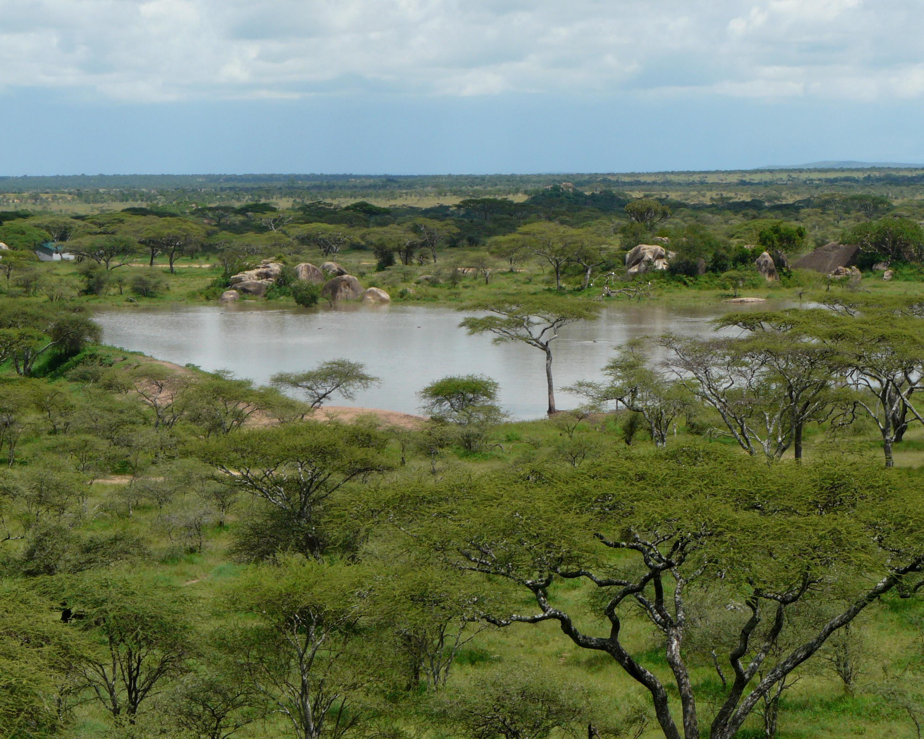 Seronera (Serengeti)