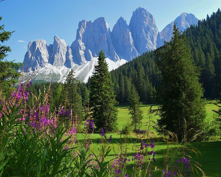home work trentino alto adige