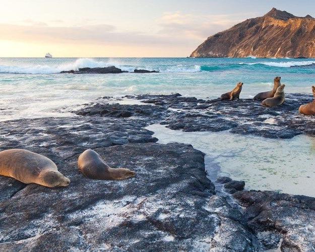 Naturparadies Galápagos Standort-Gruppenrundreise