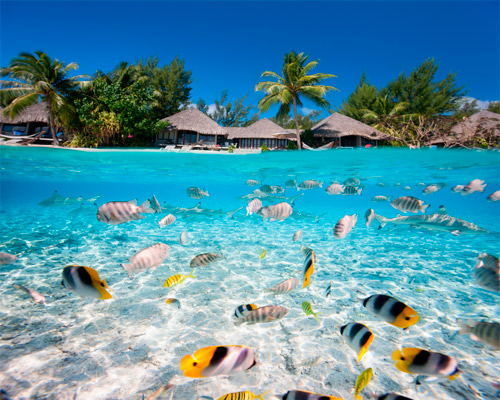 Viaje a Bora Bora y Tahití, las islas en la Polinesia france